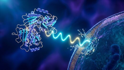 Scientists “resurrect” 160-million-year-old peptides in hunt for new antibiotics